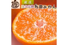 ＜1月より発送＞厳選 越冬完熟みかん5kg+150g（傷み補償分）【ハウスみかん】【光センサー選果】