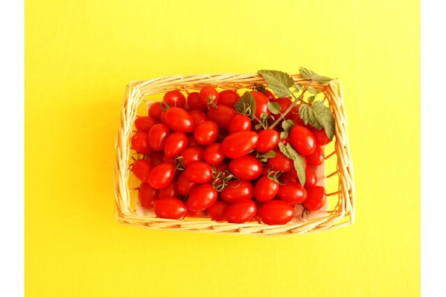 ふるさと納税 「ミニトマトアイコ(松トマト)約2kg S・M・Lサイズ 