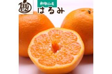 ＜2月より発送＞厳選 はるみ5kg+150g（傷み補償分）【デコポンの姉妹品種・新食感春みかん】