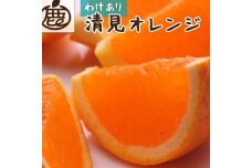 ＜2月より発送＞家庭用 清見オレンジ10kg+300g（傷み補償分）【わけあり・訳あり】