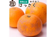 ＜1月より発送＞家庭用 はっさく6.5kg+195g（傷み補償分）【八朔みかん】【わけあり・訳あり】