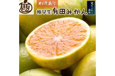 ＜9月より発送＞家庭用 極早生有田みかん5kg+150g（傷