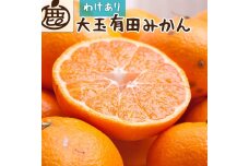 ＜11月より発送＞家庭用 大きな有田みかん10kg+300g