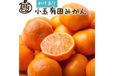 ＜11月より発送＞家庭用 小玉な有田みかん5kg+150g