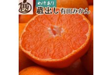 ＜1月より発送＞家庭用 蔵出みかん5kg+150g（傷み補償