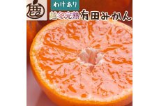 ＜1月より発送＞家庭用 越冬完熟みかん5kg+150g