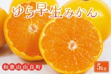 農家直送 ゆら早生みかん 約5kg 2S～2Lサイズ混合