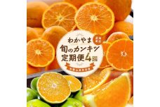 【家庭用 訳あり】わかやま旬のカンキツ定期便[M] 全４回 3・5・9・11月発送【MS96】