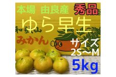 【秀品】ゆら早生 5kg 2S~M 和歌山 由良産