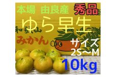 【秀品】ゆら早生 10kg 2S~L 和歌山 由良産