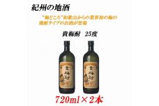 紀州の地酒 貴梅酎 きばいちゅう 25度 720ml×2本【EG09】