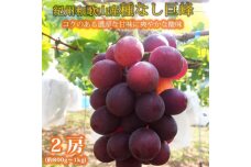 紀州和歌山産 の種なし巨峰ぶどう2房（約800g〜1kg）【UT121】