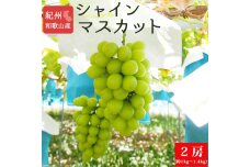 紀州和歌山産 シャインマスカット2房（約1kg〜1.4kg）【UT120】