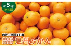 農家直送 ご家庭用 和歌山県由良町産温州みかん 約5kg 2S～2Lサイズ混合