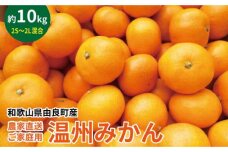 農家直送 ご家庭用 和歌山県由良町産温州みかん 約10kg 2S～2Lサイズ混合