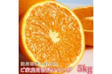 【ご家庭用訳あり】紀州有田産清見オレンジ 約5kg【2025年3月下旬以降発送】