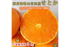 紀州有田産せとか 約3kg 【ご家庭用】とろける食感！ジューシー柑橘【2025年2月下旬以降発送】