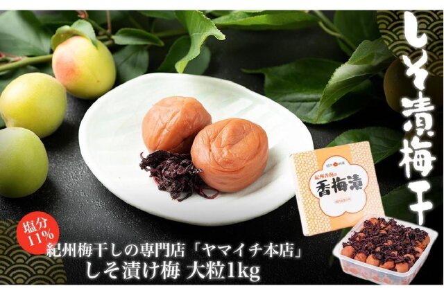 特上美品 ふるさと納税 しそ漬け梅 大粒1kg（ポリ容器入り） 和歌山県白浜町