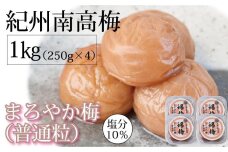 紀州南高梅 はちみつ梅干 まろやか梅 普通粒 250g×4 塩分10％