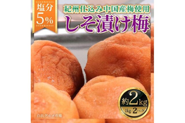 ふるさと納税 「紀州仕込み（中国産梅）しそ漬け塩分５％（１kg×２