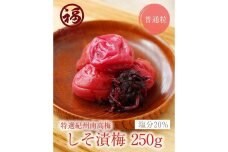 紀州南高梅 しそ漬250g×4パック（塩分約20％）昔ながらの酸っぱい梅干