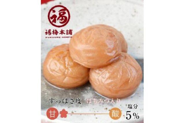 無添加　最高級南高梅　3L  A級 最高級無添加南高梅梅酢 うめ〜ず5本セット』 500ml×5 南高梅
