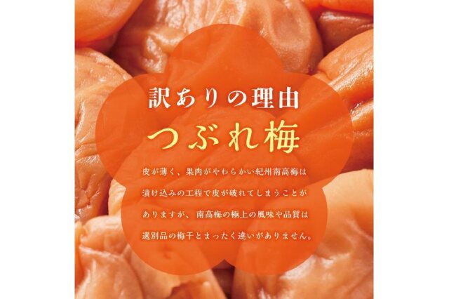 ふるさと納税 「紀州南高梅 訳あり はちみつ梅 塩分5％ 2.4kg（300g×8パック）和歌山県産」 和歌山県白浜町 -  ふるさと納税の「ふるさとぷらす」