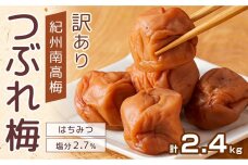 紀州南高梅 塩分約2.7% 特大粒 訳ありつぶれ梅 はちみつ梅 400g×6個 2.4kg