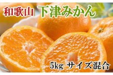 【秀優混合品】和歌山下津みかん約5kg（サイズ混合）★2024年11月中旬頃より順次発送【TM71】