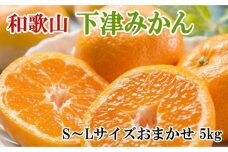 【産直・秀品】和歌山下津みかん約5kg（S～Lサイズおまかせ）★2025年11月中旬頃より順次発送