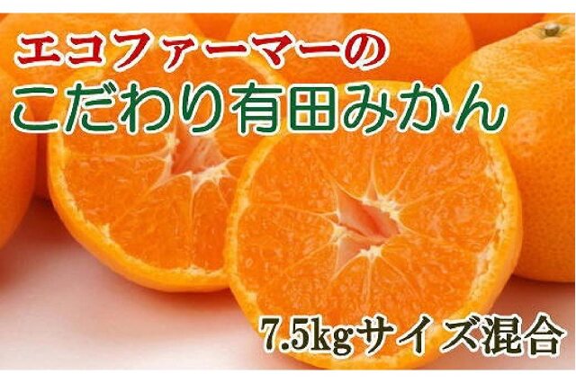 ふるさと納税 「エコファーマーのこだわり有田みかん7.5kg（サイズ混合）☆2022年11月中旬より順次発送」 和歌山県上富田町 - ふるさと納税の「 ふるさとぷらす」