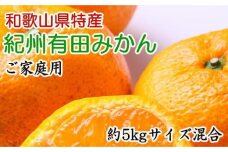 和歌山有田みかん5kg ご家庭用（サイズ混合）★2024年11月中旬頃より順次発送【TM102】