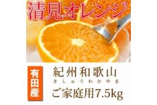 【ご家庭用訳アリ】紀州有田産清見オレンジ　7.5kg【先行予約】【UT54】