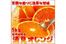 とにかくジューシー清見オレンジ　5kg【2025年3月下旬以降発送】【先行予約】【UT53】