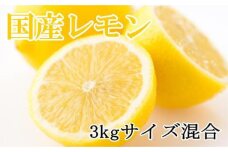 【産直】和歌山産レモン約3kg（サイズ混合）★2025年3月中旬頃より順次発送【TM150】