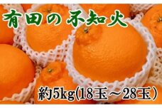 【濃厚】有田の不知火約5kg（18～28玉）★2025年2月上旬頃より順次発送【TM35】