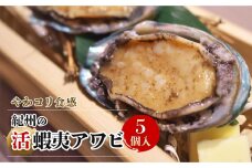 やわコリ食感紀州の蝦夷アワビ 【5個入】