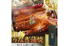 大型サイズ ふっくら柔らか 国産うなぎ蒲焼き 2尾 ［UT05］