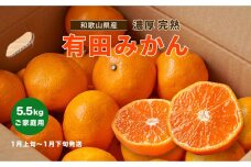 【先行予約】【2023年1月発送】【数量限定】濃厚完熟有田みかん(ご家庭用) たっぷり５．５kg