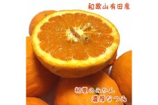 【先行予約】【初夏の美味】濃厚なつみみかん（ご家庭用）3.5kg