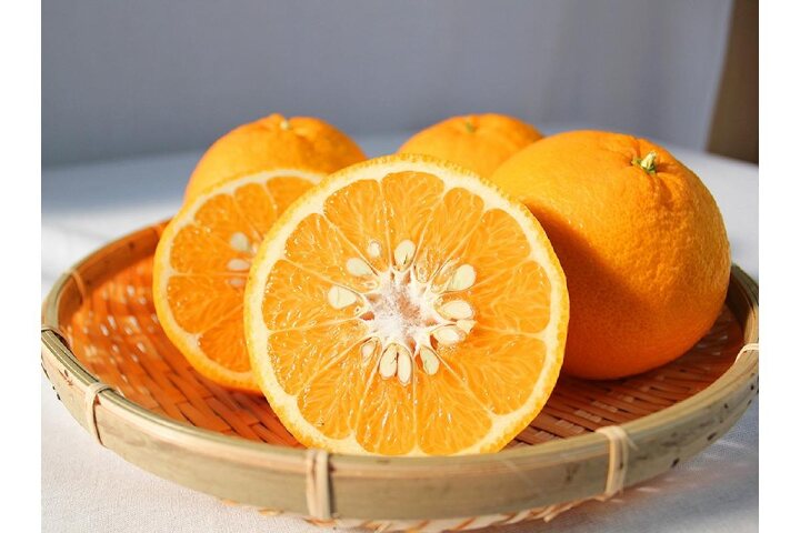 ふるさと納税 先行予約 夏みかん７ ２ｋｇ 和歌山県上富田町 ふるさと納税の ふるさとぷらす