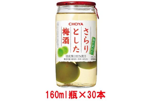 ふるさと納税 「チョーヤTheCHOYAさらりとした梅酒(梅の実入り ふるさと納税 「チョーヤTheCHOYAさらりとした梅酒(梅の実入り