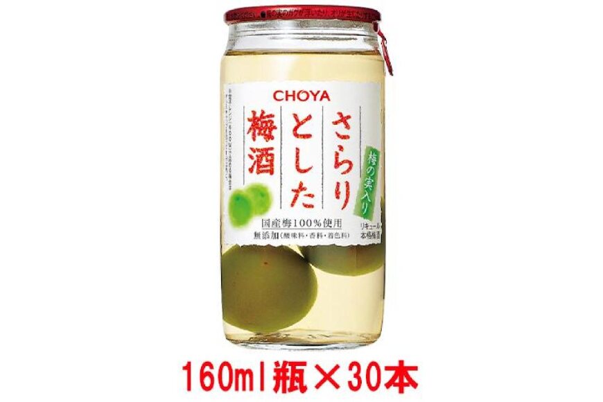 ふるさと納税 チョーヤ The Choya さらりとした梅酒 梅の実入り 160ml 30本 和歌山県上富田町 ふるさと納税の ふるさとぷらす