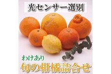 ＜1月より発送＞家庭用 柑橘詰合せ5kg+150g（傷み補償分）