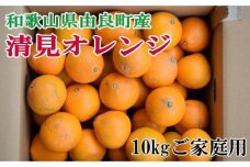 【訳あり・ご家庭用】和歌山由良町産の濃厚清見オレンジ約10kg★2025年2月中旬頃より順次発送