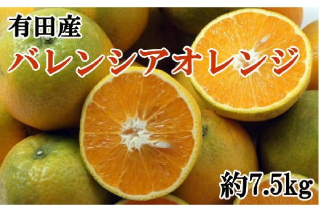 一度は食べていただきたい「有田産のせとか」約4〜5kg（サイズおまかせ）★2024年2月中旬頃より順次発送 和歌山県 和歌山 九度山町 九度山 和歌山県九度山町 ふるさと 納税 ふるさと 支援 支援品 返礼品 お礼の品 名産 名産品 特産 特産品 お取り寄せ