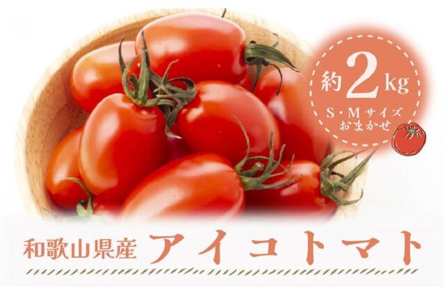 ふるさと納税 「【2026年5月出荷分】和歌山産ミニトマト「アイコトマト