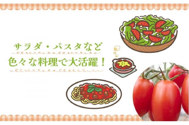 ふるさと納税 「【2026年5月出荷分】和歌山産ミニトマト「アイコトマト