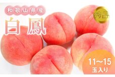 和歌山県産 白鳳 桃 11～15玉入り秀品［2026年6月下旬以降発送］［MG90］
