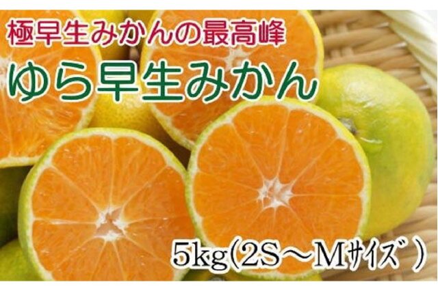ふるさと納税 「［極早生みかんの逸品］和歌山県産ゆら早生みかん約5kg